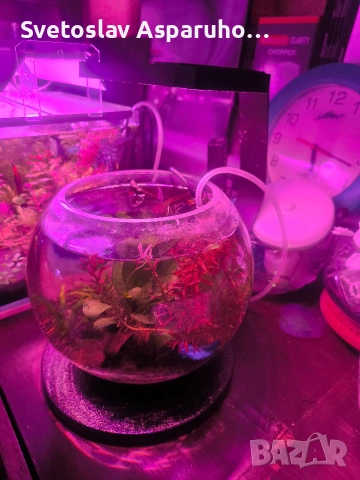 стъклена колба 7л., снимка 2 - Аквариуми - 45008999