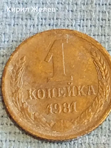 Стара монета 1 копейка 1981г. СССР рядка за КОЛЕКЦИЯ ДЕКОРАЦИЯ 43733, снимка 4 - Нумизматика и бонистика - 48163968