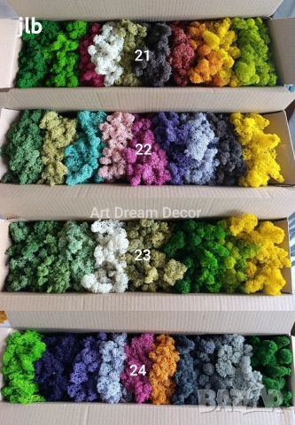 Скандинавски мъх за живи стени, пана и декорации, Премиум почистен Скандинавски мъх, снимка 9 - Декорация за дома - 36784939