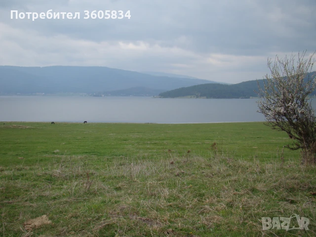 Парцел на брега на язовир Батак, снимка 5 - Парцели - 39525455