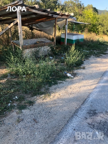 Мило момиче търси дом, снимка 3 - Други - 51559333