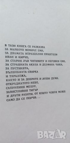 Невероятните пътешествия на Иван Прасето и Кирчо Сламката Роман за деца Владимир Голев, снимка 2 - Детски книжки - 46778465