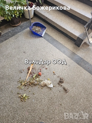 Почистване на входове , снимка 11 - Почистване на входове - 53663804