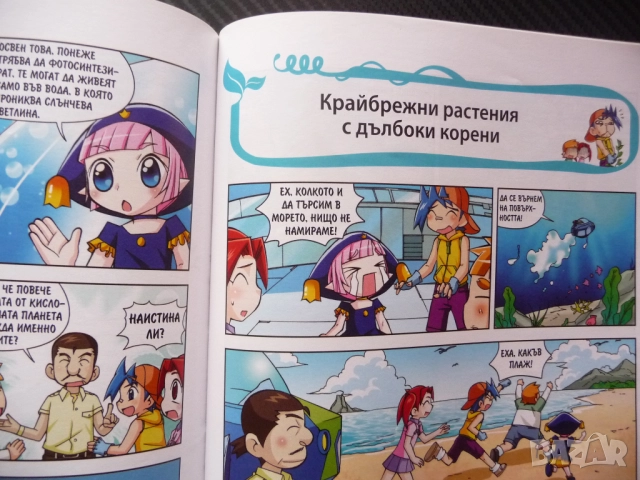 Защо? Растенията комикс забавно запознаване децата със света дървета храсти цветя водорасли билки фл, снимка 5 - Детски книжки - 52637759