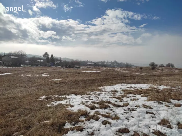 Парцел земя Драговишица, снимка 3 - Земеделска земя - 50044309