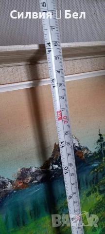 Картина , снимка 7 - Картини - 51871709