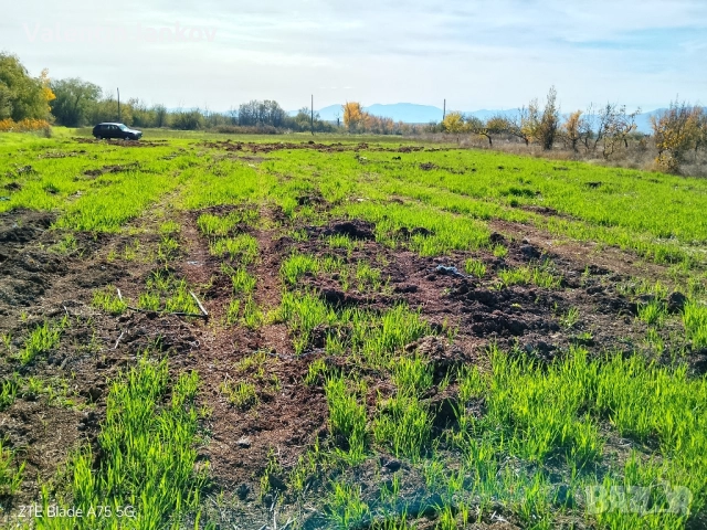Земеделска земя трета категория в с. Конуш