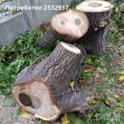 Продавам орехови дънери , снимка 3 - Оборудване и аксесоари за оръжия - 51850645