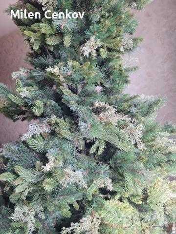 Елха коледна  2,50м., снимка 2 - Декорация за дома - 53683431