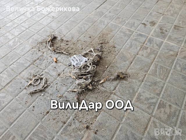 Почистване на входове , снимка 18 - Почистване на входове - 53657136