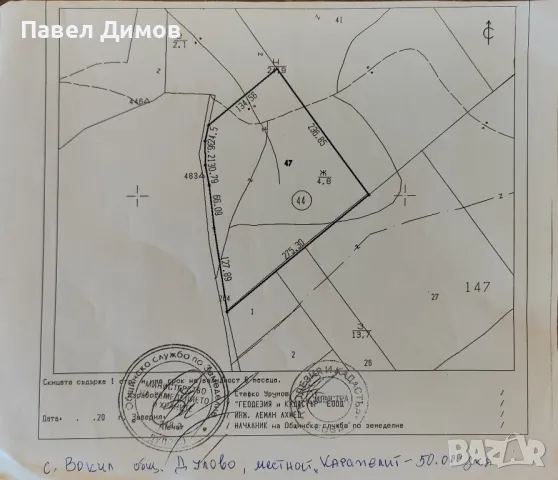 Гора 80 дек., снимка 3 - Земеделска земя - 50228929