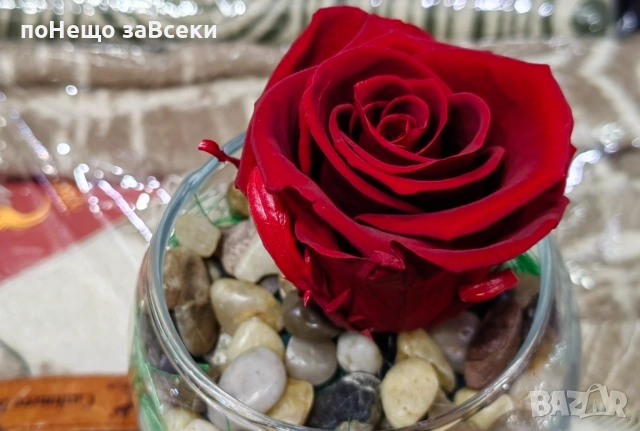 (НОВО) Вечна роза - вечна любов, снимка 3 - Декорация за дома - 53440618