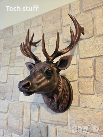 Стенни декори на животни