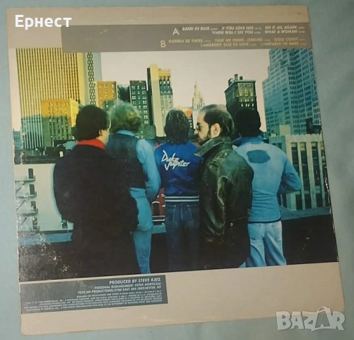 Грамофонни плочи 70-тарски рок и смес със саурърн рок, снимка 4 - Грамофонни плочи - 32572101