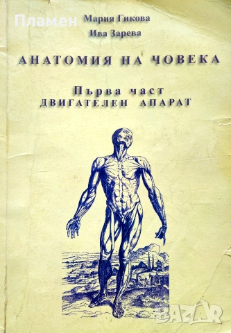 Анатомия на човека. Част 1: Двигателен апарат Мария Гикова, Ива Зарева 