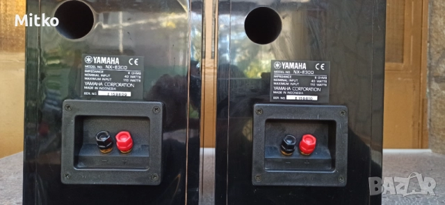 Pioneer NX-E300 букшелф тонколони, снимка 4 - Тонколони - 52436284