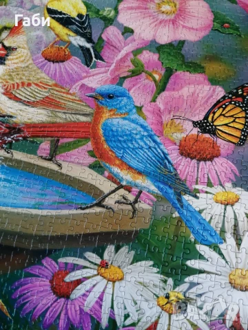 Пъзел Castorland 2000 части Ритъмът на природата, снимка 3 - Пъзели - 51160060