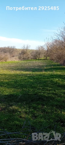 Урегулиран поземлен имот – 1380 кв.м. в с. Конево, общ. Върбица