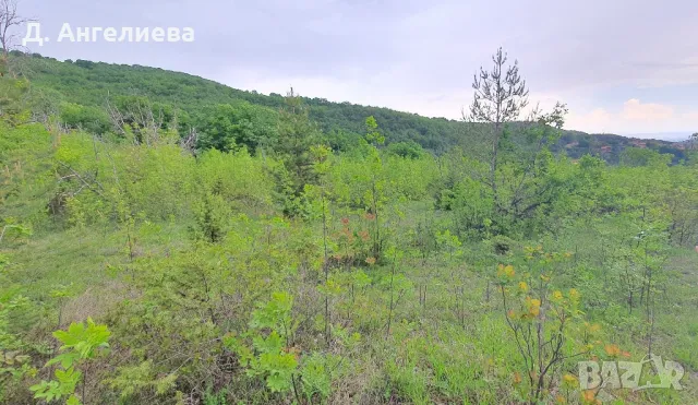 Парцел с.Храбрино 3 677кв, снимка 5 - Парцели - 47843333