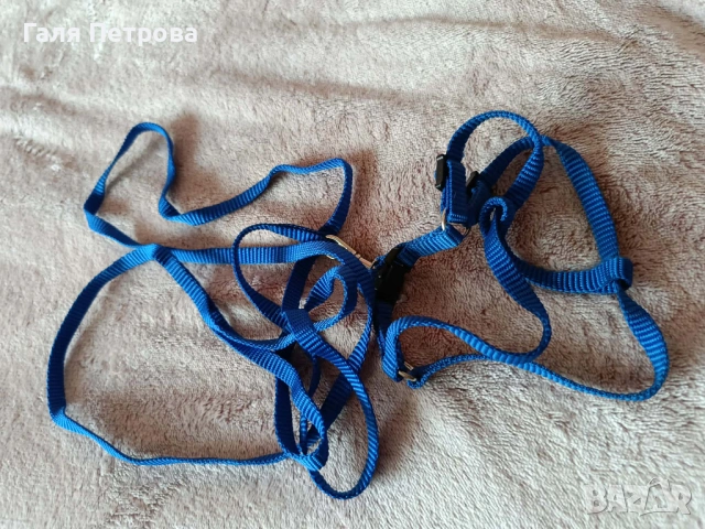 Нагръдници и поводи за развеждане на котки, снимка 4 - За котки - 53793626