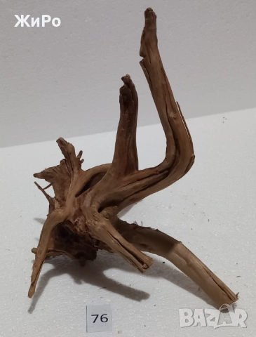 Корен от Азалия /декорация/ 76, снимка 3 - Други - 54102598