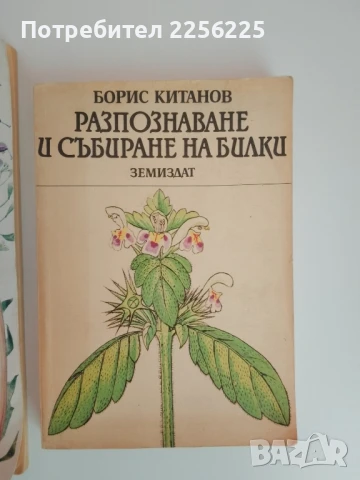 ЛОТ Здраве от аптеката, снимка 10 - Специализирана литература - 51100347