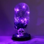 Декоративен купол с череп, паяци и лилави LED светлини, Ø11x20см, снимка 2