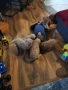 Продавам Пуделчета , снимка 5