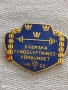 Рядка значка с емайл на ШВЕДСКАТА АСОЦИАЦИЯ по ВДИГАНЕ НА ТЕЖЕСТИ 29392, снимка 1