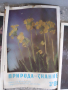 РетроСписание-Природа и знание-3броя, снимка 4
