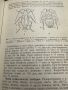 Наръчник по дезинфекция,дезинсекция и дератизация,Д.Козаров, снимка 9