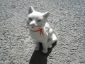 СТАР БЪЛГАРСКИ ПОРЦЕЛАН КОТЕ КОТКА , снимка 2