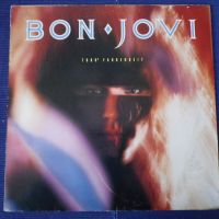 грамофонни плочи Bon Jovi, снимка 1 - Грамофонни плочи - 45351971