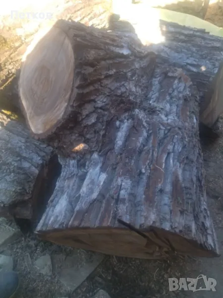 Продавам орехово дърво за материал , снимка 1