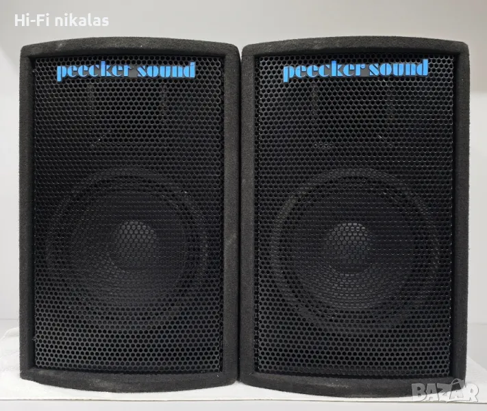 професионални стерео тонколони 10" PEECKER SOUND E 10, снимка 1