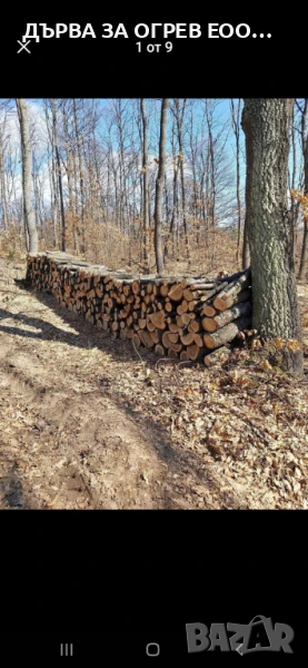 Експресни поръчки до дома Работим всеки ден За регион Пловдив и Пазарджик 105лв  Тел0895977422 , снимка 1