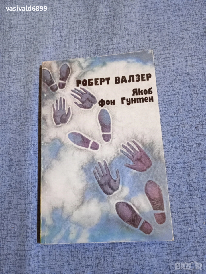 Роберт Валзер - Якоб фон Гунтен , снимка 1