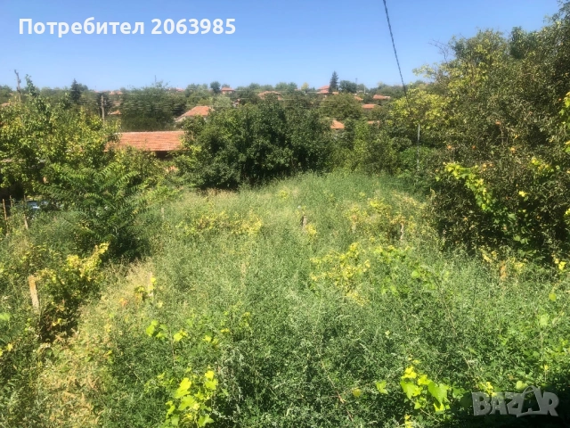 Къща с двор и геран, снимка 12 - Къщи - 53751952