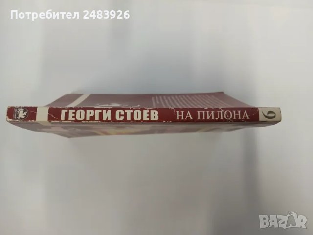 На пилона. Книга 1  Георги Стоев, снимка 3 - Художествена литература - 48808100