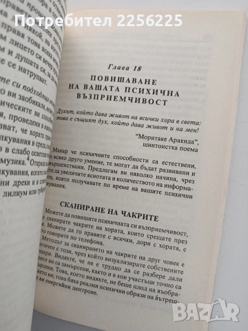 Пътят на работника на светлината, снимка 2 - Специализирана литература - 54097741