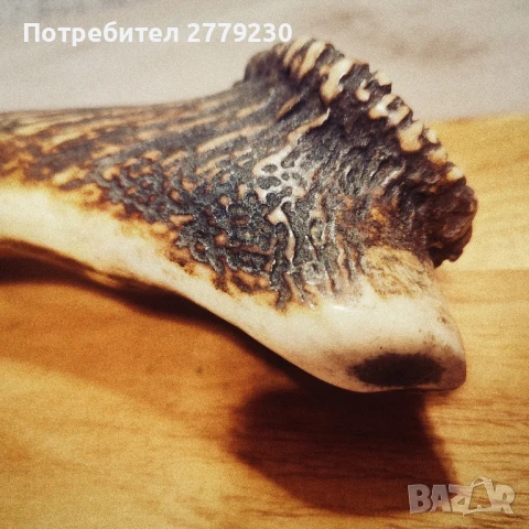 Ловен много масивен нож от колекция , снимка 6 - Колекции - 50754843