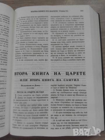 ЧЕРНА СТАРА БИБЛИЯ, снимка 10 - Други - 45918930