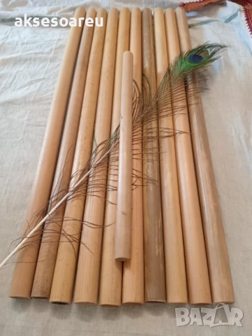 Качествени Семена от бамбук Bambusa arundinacea бързо растящи бамбукови растения за украса на дома, снимка 5 - Сортови семена и луковици - 50483666