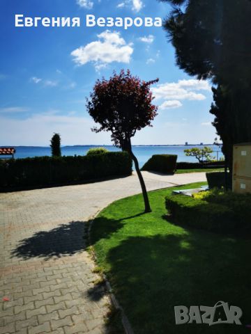 Студио Sun day в Свети Влас, снимка 15 - Почивки на море - 37125887