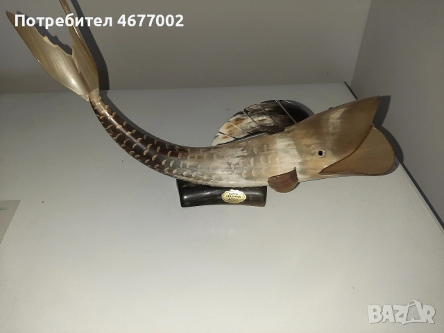 риба от истински рог