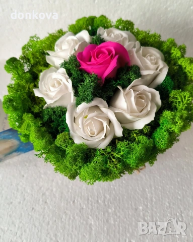 живи картини декорации от скандинавски мъх., снимка 10 - Картини - 53978658