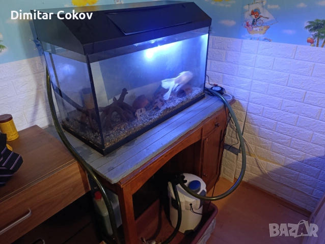 Аквариум, снимка 3 - Аквариуми - 53766951