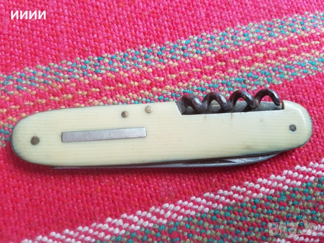 Ножка слонова кост 2