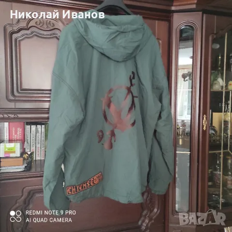 Chiemsee windsurfing 