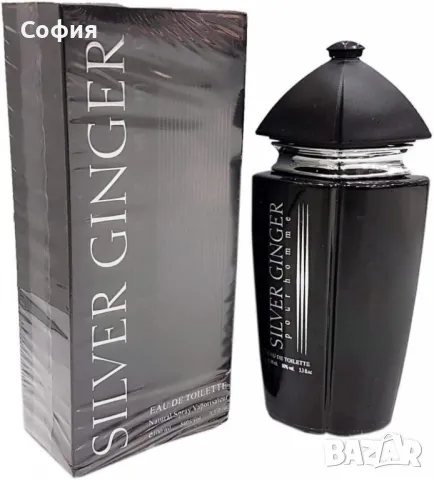 Парфюм Silver Ginger by BN, Unisex, Eau de toilette 100ml, снимка 4 - Унисекс парфюми - 49611832